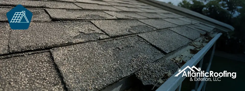 Shingle Granule Loss: Signs Every Homeowner Should Know