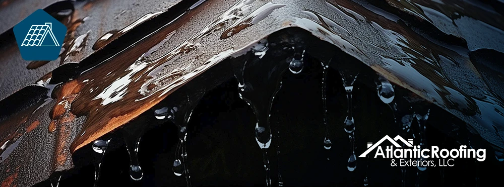 Affordable Roof Leak Repair Services Near You